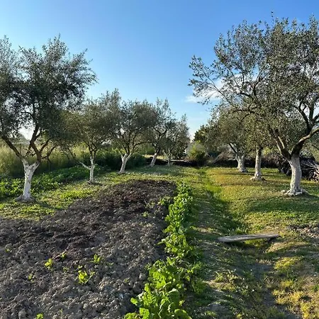 Casa vacanze Telis Two